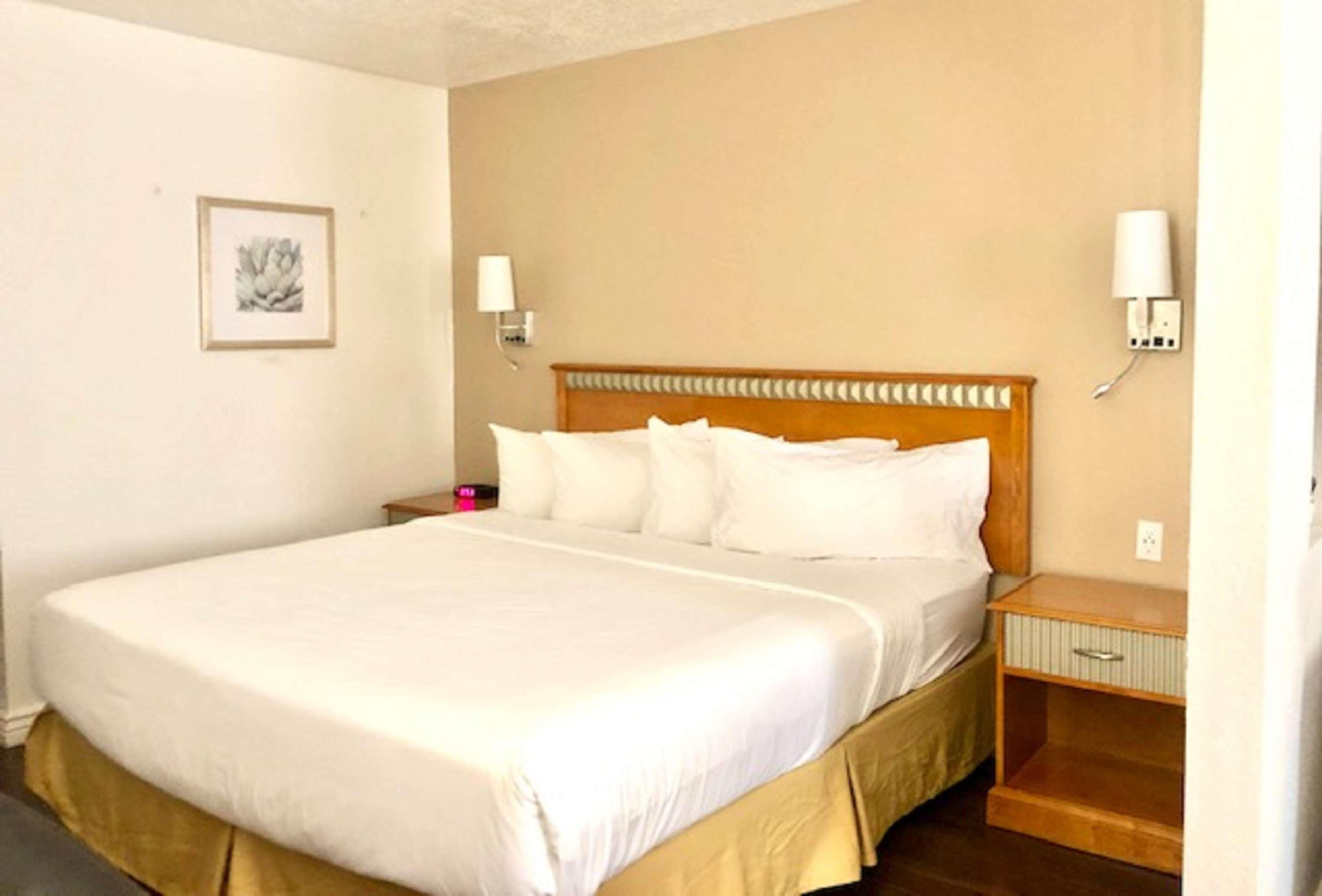 Surestay Plus Hotel By Best Western Albuquerque I-40 Eubank Bagian luar foto
