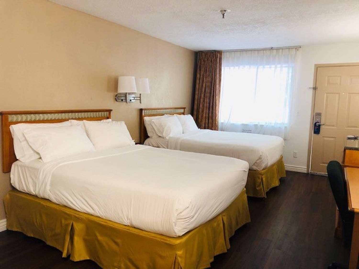 Surestay Plus Hotel By Best Western Albuquerque I-40 Eubank Bagian luar foto